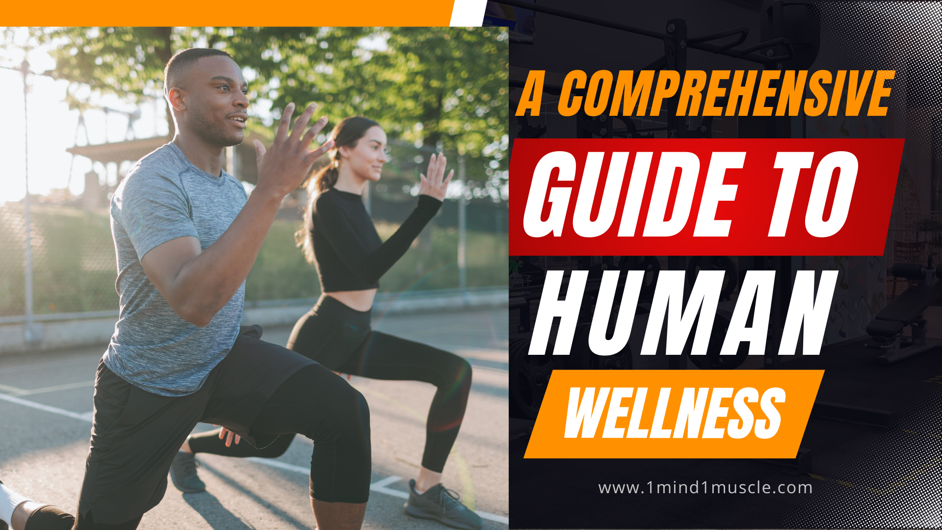 A Comprehensive Guide to Human Wellness