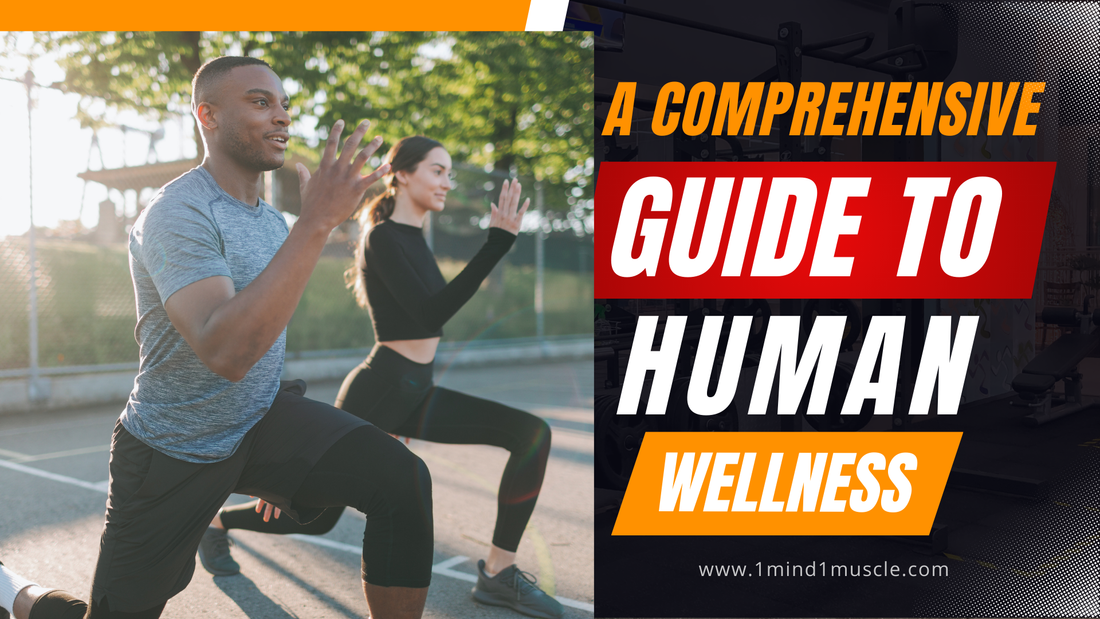 A Comprehensive Guide to Human Wellness