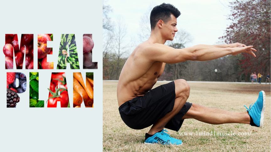Fitness and Meal Planner: Ultimate Guide to Success