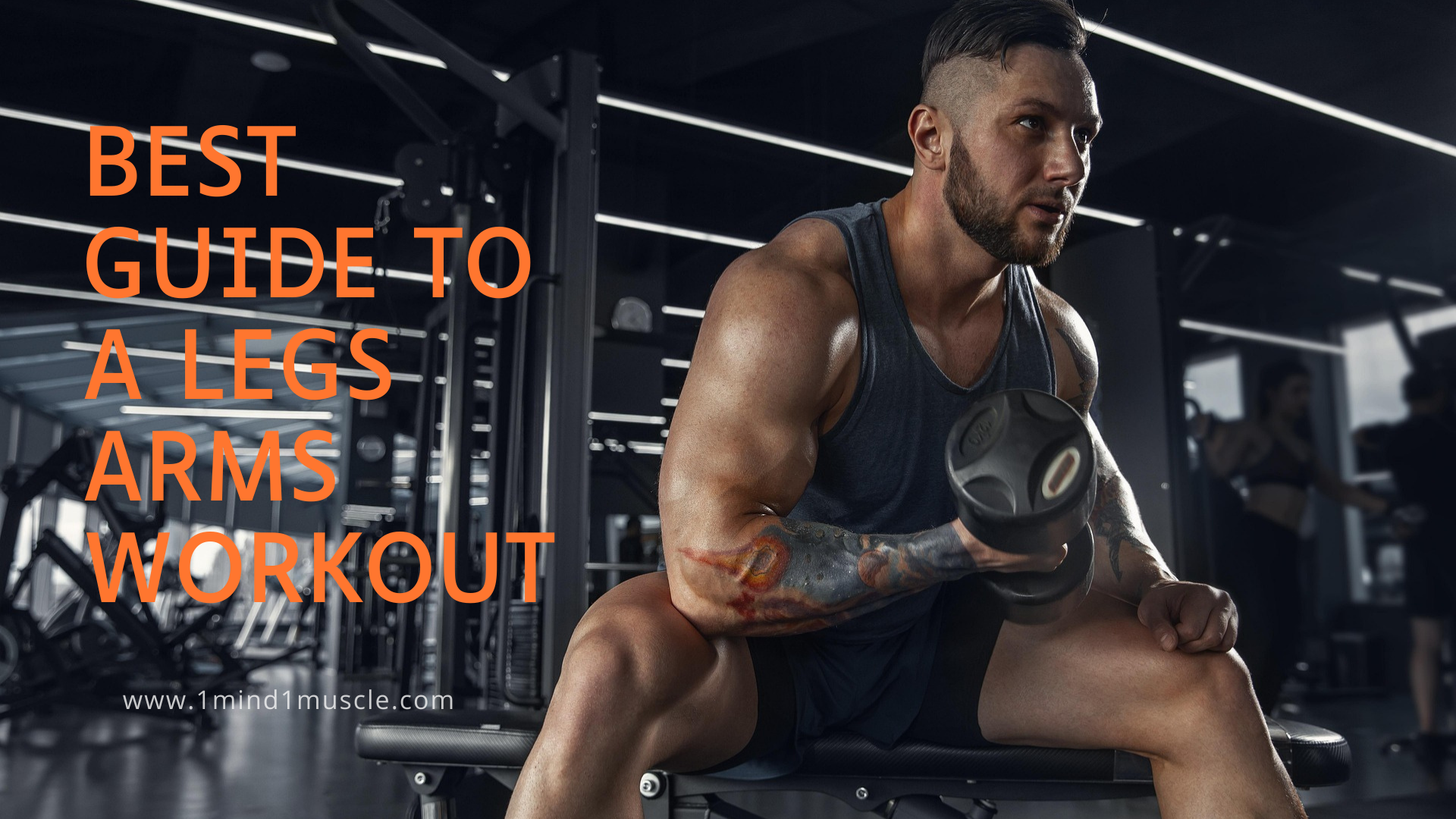 The Best Guide to a Legs Arms Workout