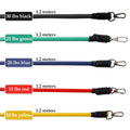 resistance band exercises