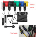 premium Resistance Bands Set